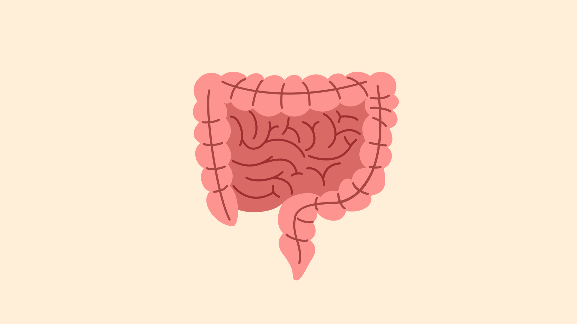 What to do when youre diagnosed with SIBO