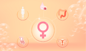 Estrogen metabolism and your gut health