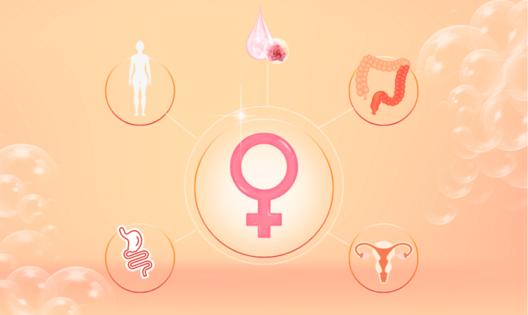 Estrogen metabolism and your gut health